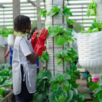 Agriculture
