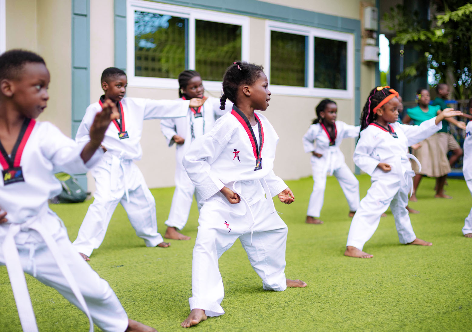 Taekwondo